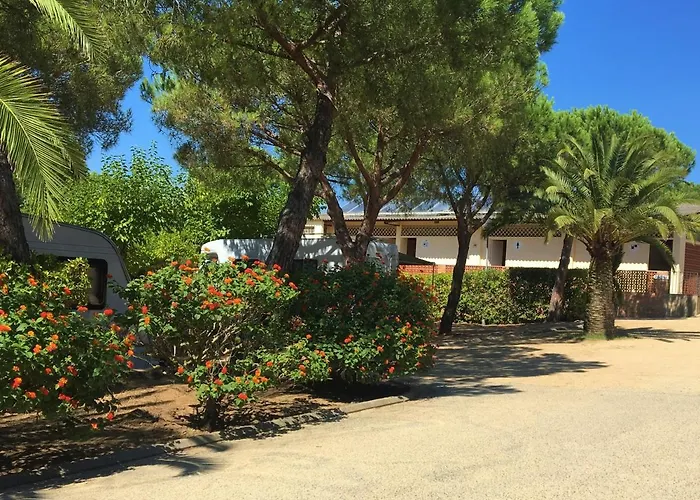 Semesterbostad Cozy Glamping In Palams With Garden View Palamós